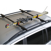 Skidrager Ski Rack