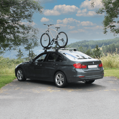 porte-vélos de toit ProRide 598