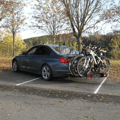 Fietsendrager Pure Instinct 3