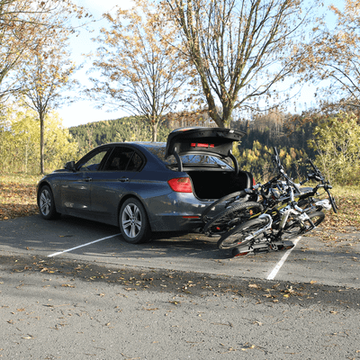 Fietsendrager Pure Instinct 3