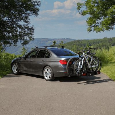 Fietsendrager Pure Instinct 2
