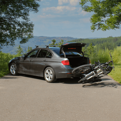 Fietsendrager Pure Instinct 2